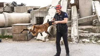 Momo enkaz görevine hazırlanıyor