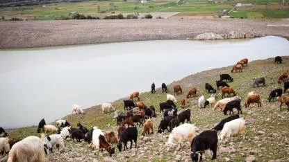 İzmir’den kuraklığa karşı hamle: 100 göletle doğaya ve üreticiye can suyu