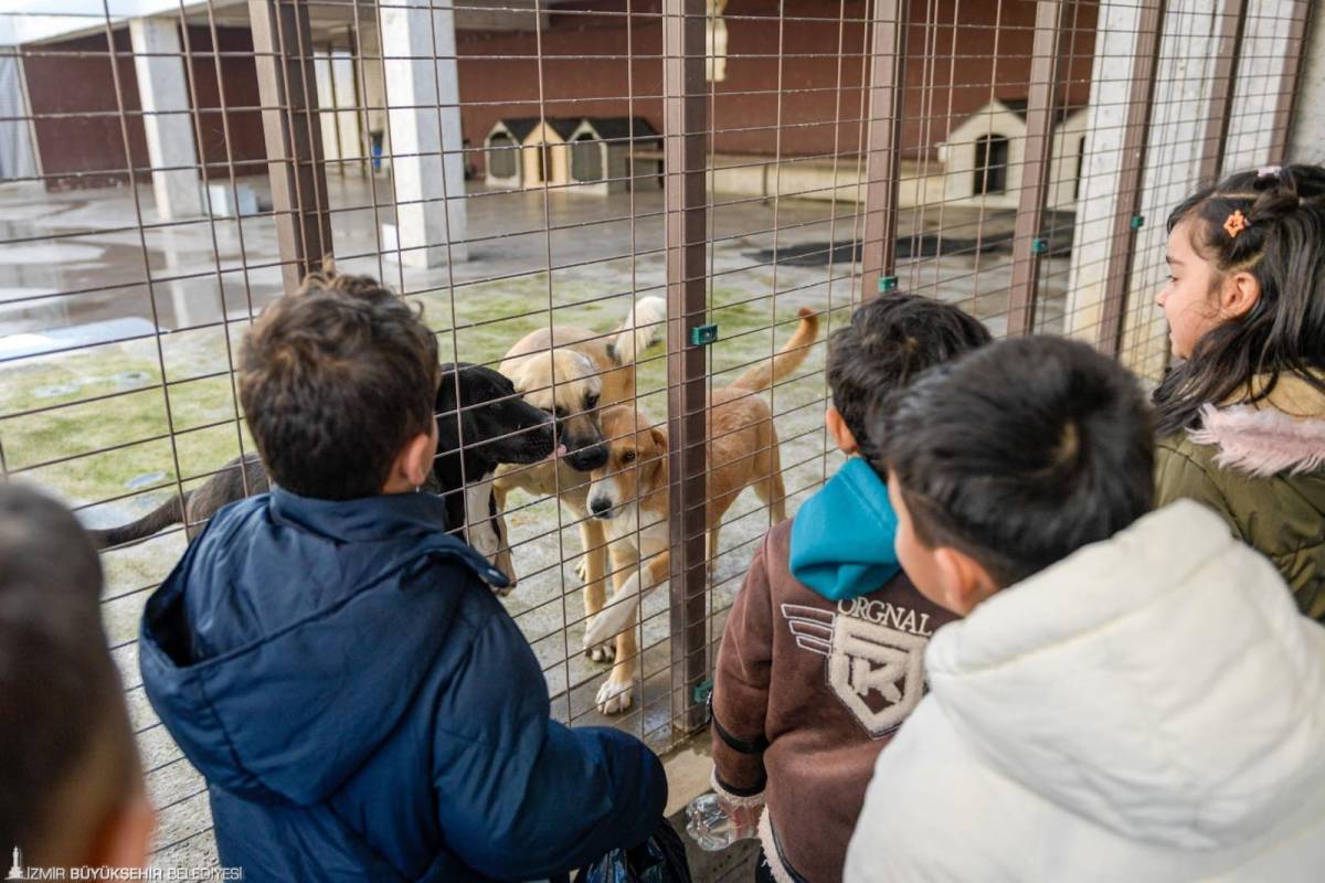 İzmir’de “satın alma, sahiplen” çağrısı: 3 bini aşkın patili dosta yeni yuva