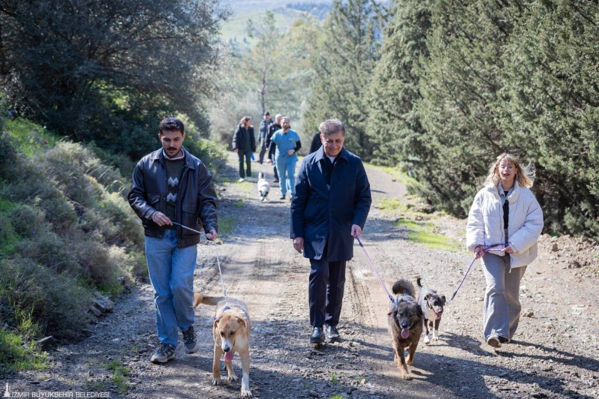 İzmir’de “satın alma, sahiplen” çağrısı: 3 bini aşkın patili dosta yeni yuva