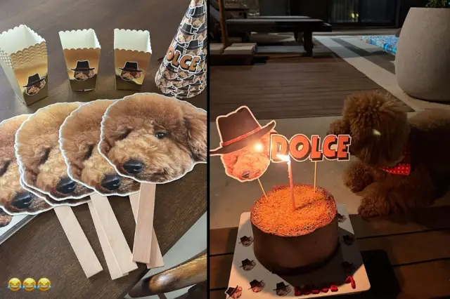 Nesrin Cavadzade’den köpeği Dolce’ye doğum günü partisi: Sosyal medyada gündem oldu