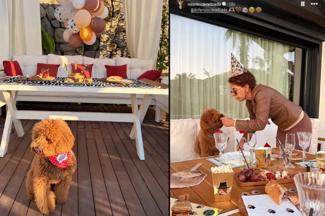 Nesrin Cavadzade’den köpeği Dolce’ye doğum günü partisi: Sosyal medyada gündem oldu